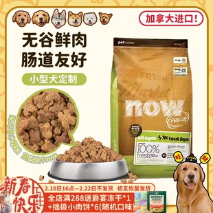 【旺财】加拿大进口now狗粮无谷低敏营养四叶草小粒小型犬全价粮
