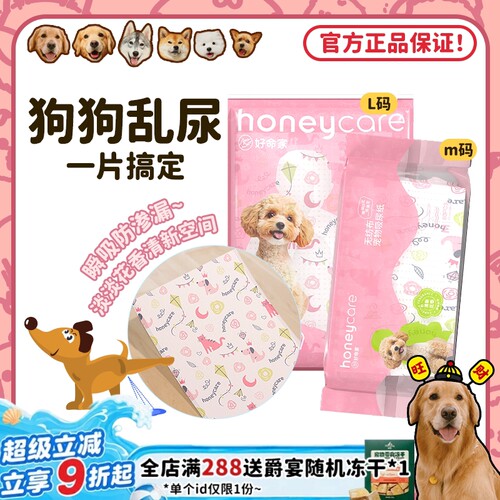 狗狗乱尿,一片擦干又去味