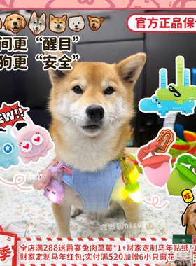 【旺财】莱诺章鱼灯榛子吊坠 发光项圈LED夜光灯充电遛狗灯防走失