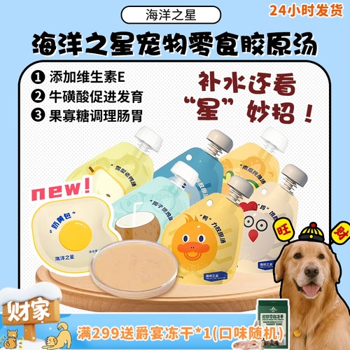 海洋之星，猫猫狗狗超爱喝汤汤！