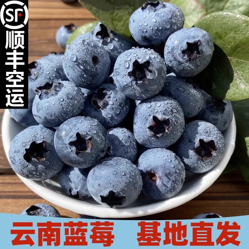 云南蓝莓鲜果新鲜高端水果当季蓝梅高山德昌孕妇整箱包邮顺丰野果