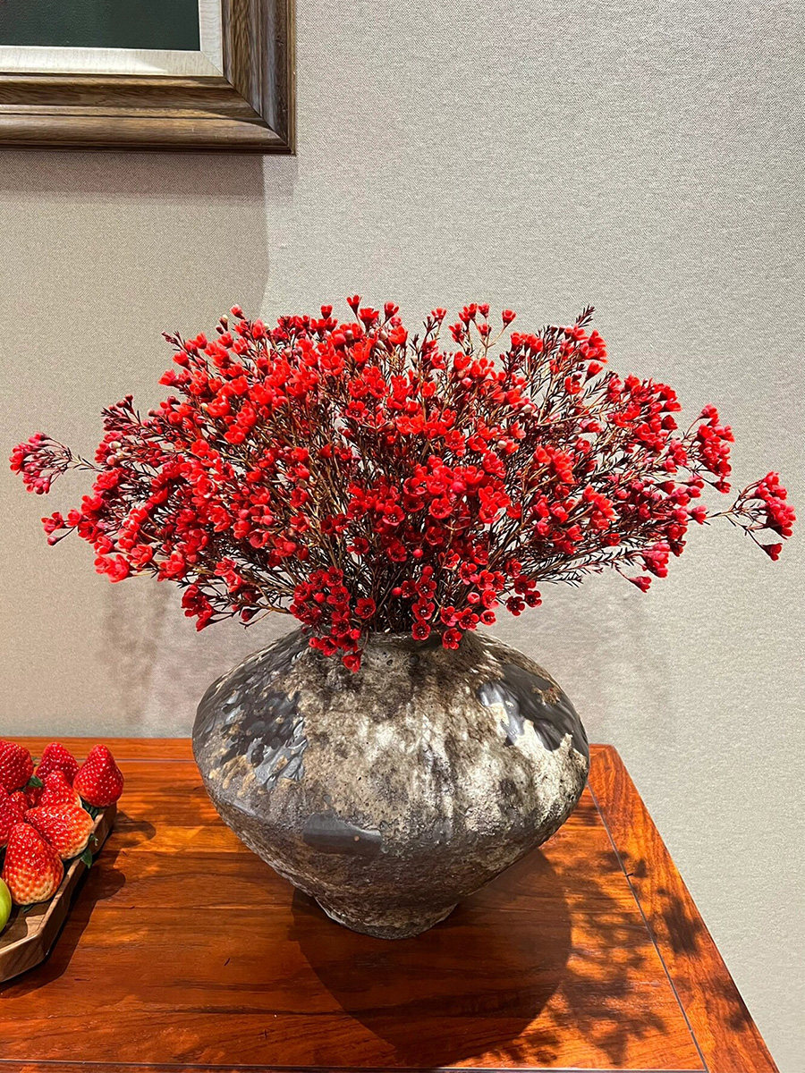 红色澳洲腊梅鲜花云南直发澳梅水培植物插花花期长蜡梅鲜切花枝条