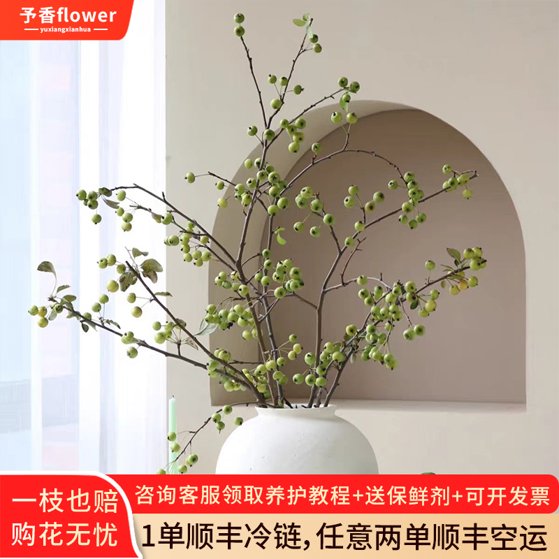绿色小苹果鲜切枝鲜花云南基地直发家用插花水培绿植海棠果棠梨果