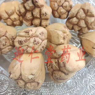 千岁果千岁果美观千岁果太岁果