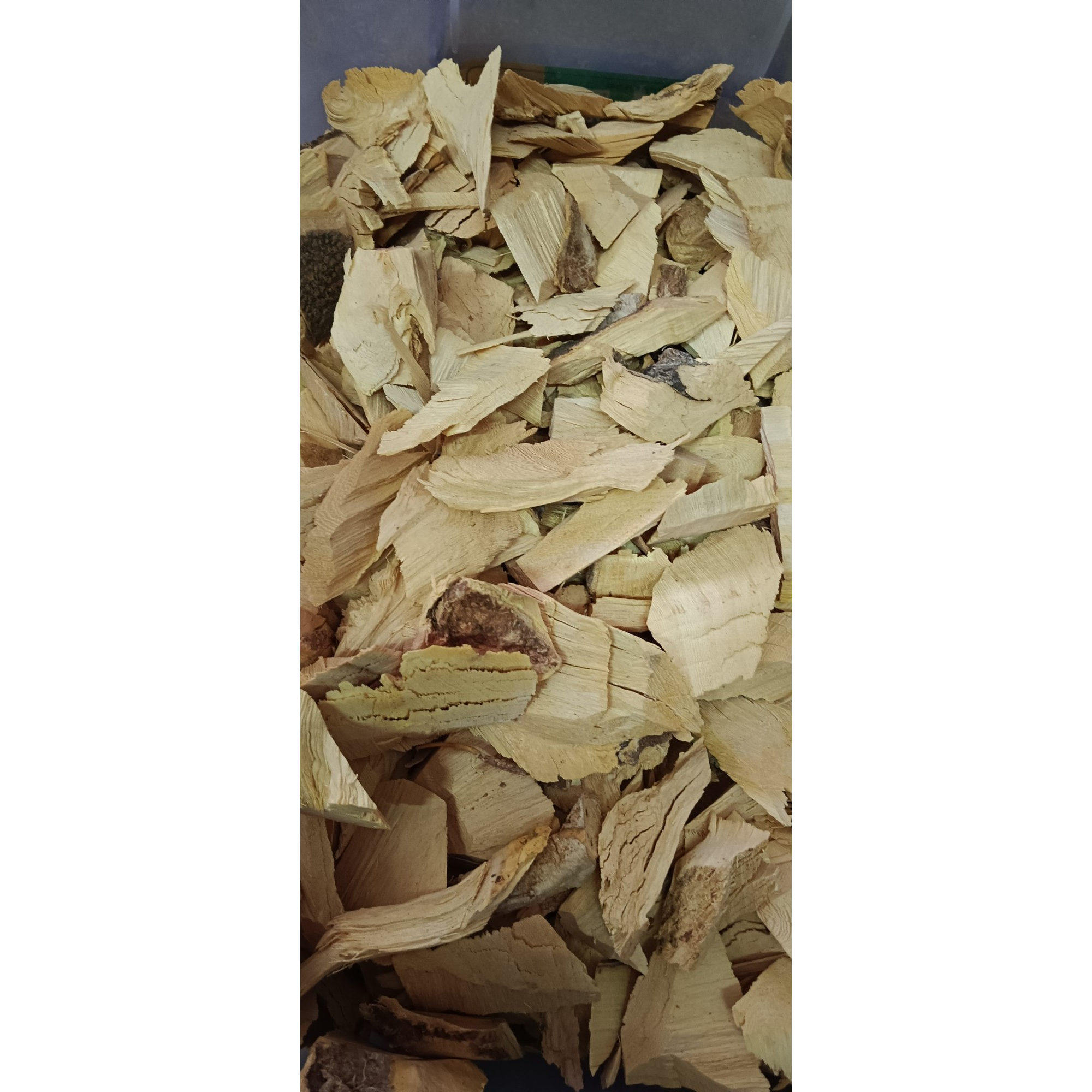 梅州中药材木浪树根 木患根 无患子根 洗手果根 苦患树根