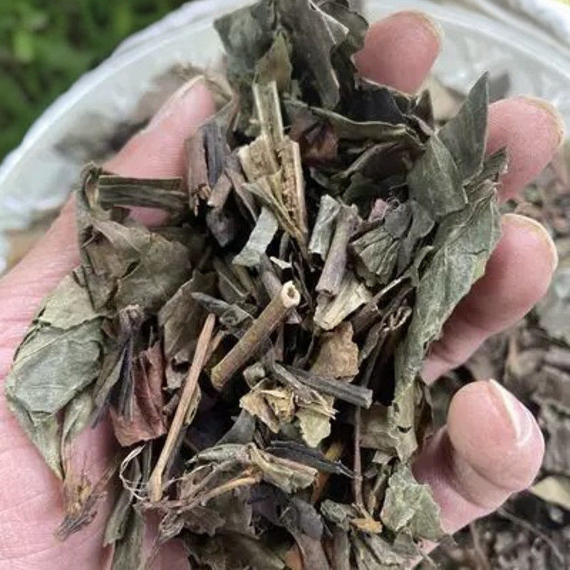 正品缅甸野消炎大王抗菌消炎止痛纯天然九节茶煮水泡茶檀香味浓,传统滋补营养品,决明子,淘宝优惠券,粉丝福利购,淘宝优惠卷