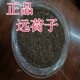 远荷子华粱草看明分辨黄芪肉苁蓉葵月草华梁草日照人民大药房