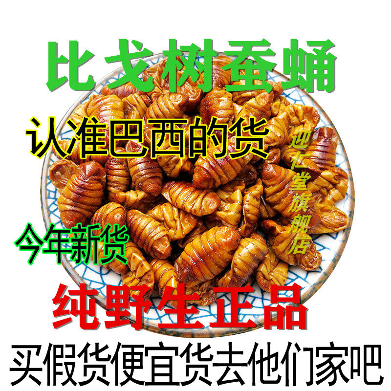 正宗野生比戈树蚕蛹【买2发3】韭菜子蛹虫草覆盆子比戈树蚕蛹