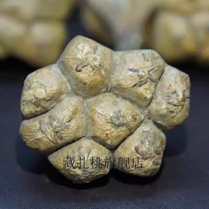 海金沙中药材功效正品中药海金砂加绿茶泡水泡茶饮无硫