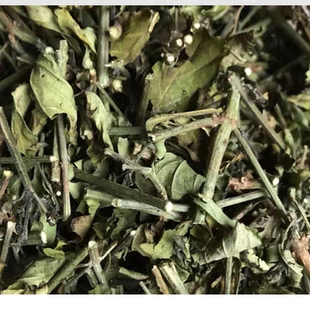 白鹤灵芝草仙草白鹤灵芝草 干品货白鹤灵芝草仙草白鹤灵芝草