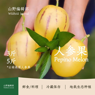 【人参果】Pepino Melon 云南高原人参果｜自然成熟清甜多汁爽脆