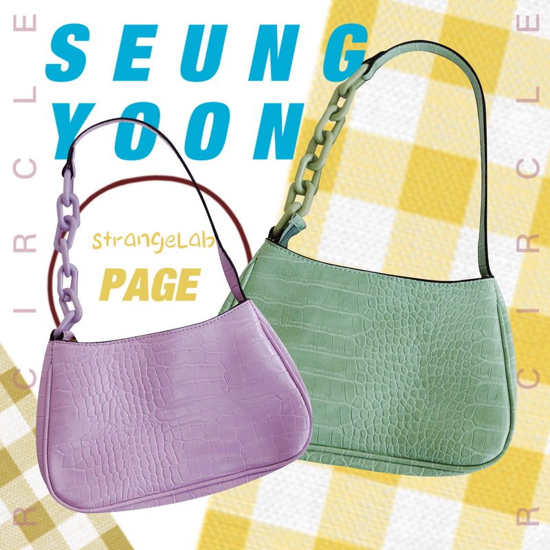 出欧美  港岛妹妹 鳄鱼纹亚克力链条腋下包单肩手提法棍包 包邮