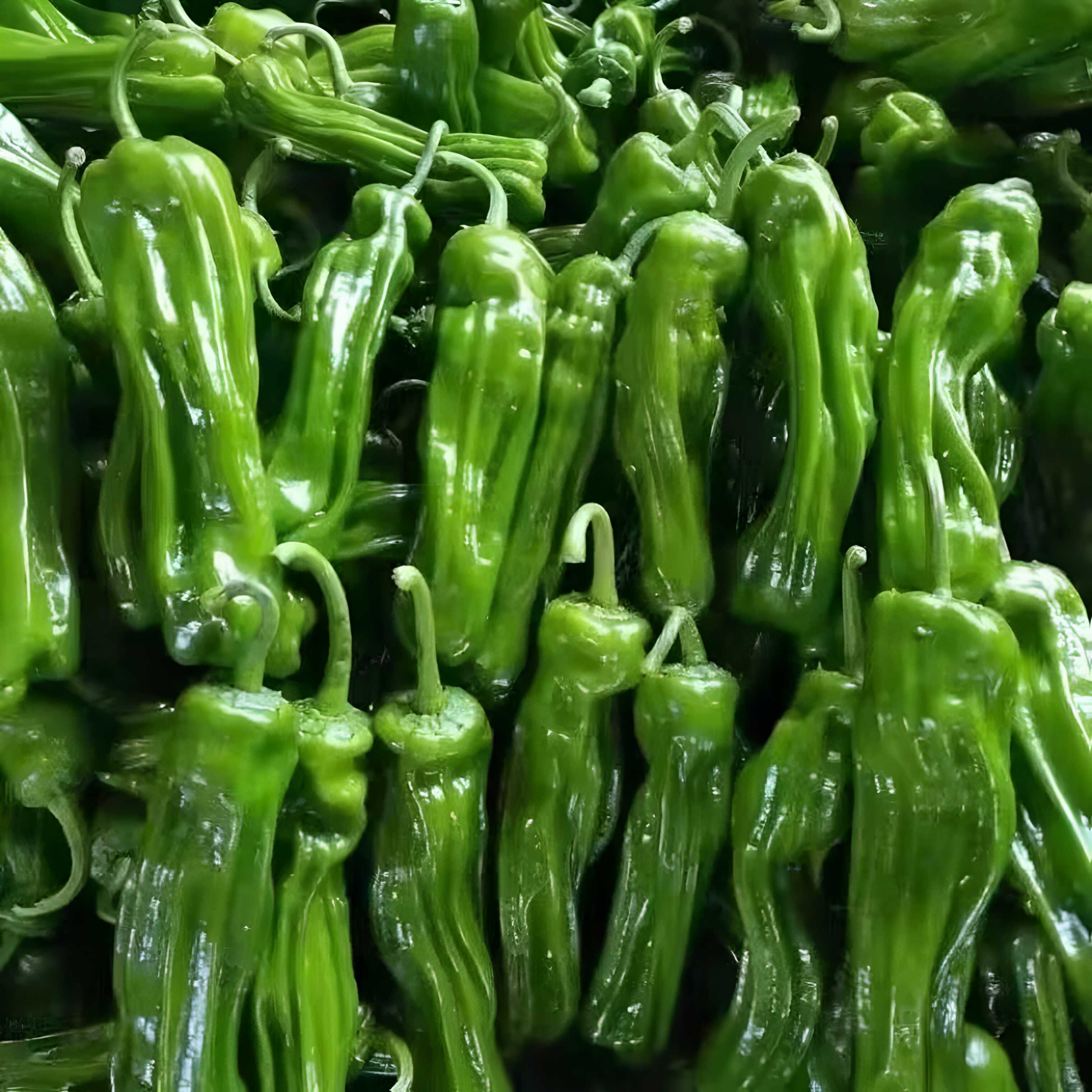 精品山东青椒新鲜薄皮青辣椒农家自种虎皮微辣新鲜蔬菜产地直发