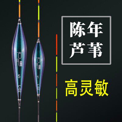 芦苇浮漂鲫鱼鲤鱼黑坑鱼漂高灵敏浮漂