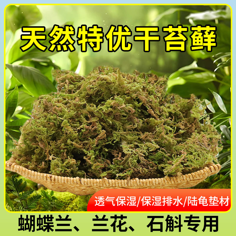干苔藓水苔种植营养土优质青苔