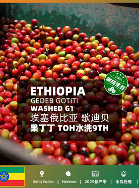 埃塞俄比亚进口歌迪贝果丁丁水洗TOH9th精品咖啡生豆2025新产季