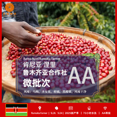 肯尼亚进口涅里鲁木齐亚合作社AA微批次咖啡生豆2025新产季包邮