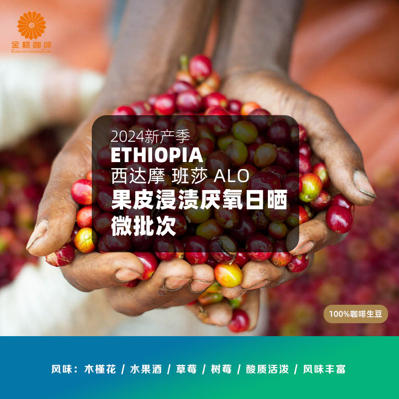 埃塞西达摩班莎Alo果皮浸渍厌氧日晒微批次精品咖啡生豆2024产季