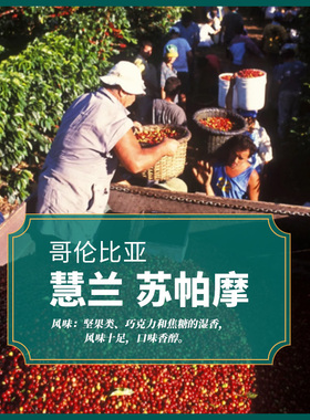 金粽包邮哥伦比亚进口慧兰苏帕摩咖啡生豆Supremo水洗2025新产季
