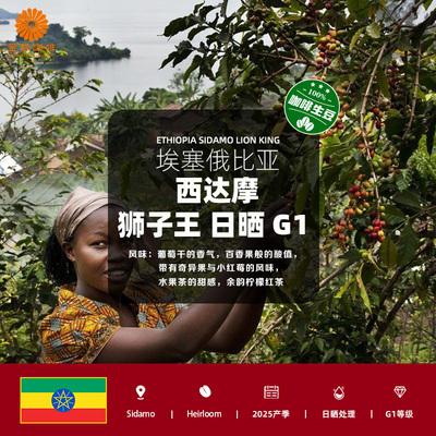 包邮埃塞俄比亚西达摩狮子王日晒G1精品咖啡生豆2025新产季