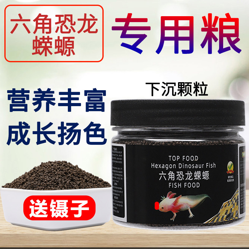 鱼食六角恐龙东方蝾螈下沉