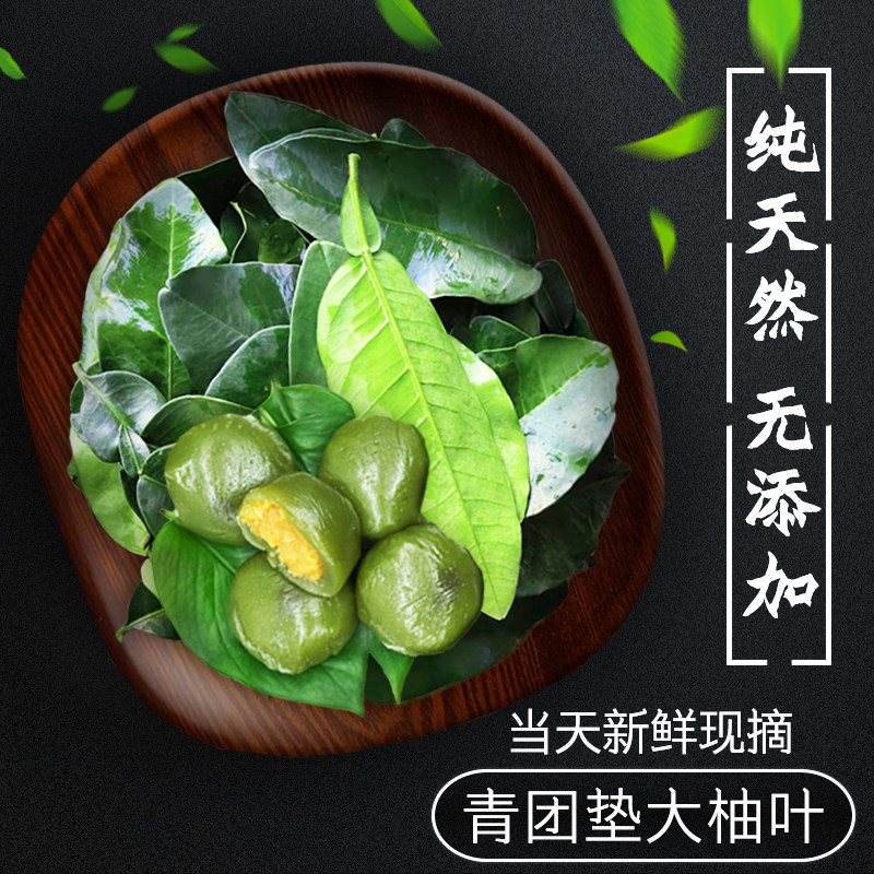 现摘/清明果垫叶青团垫新鲜柚子叶垫青团子精选材料1斤180片垫纸