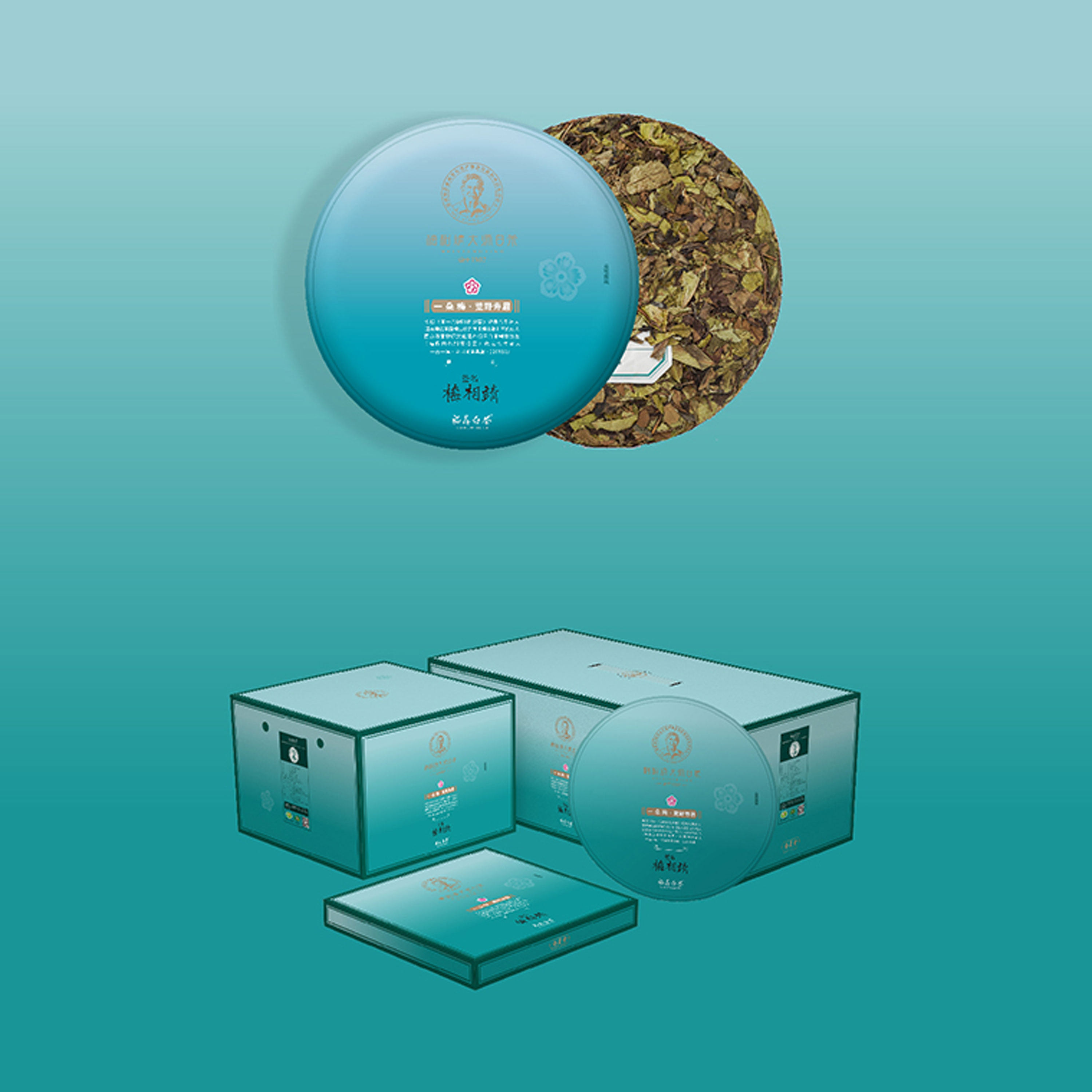 梅相靖大师一朵梅2016年荒野寿眉正宗福鼎老白茶茶叶紧压茶饼300g