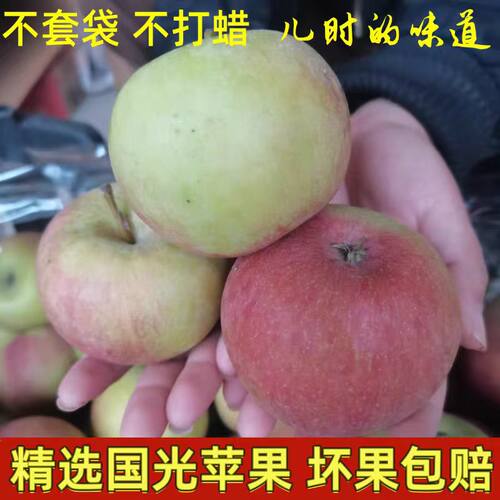 小国光苹果笨果新鲜水果山东