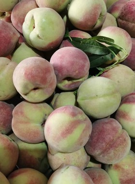 冬桃正宗山东桃子青州蜜雪桃毛桃新鲜现发孕妇水果脆甜冬桃