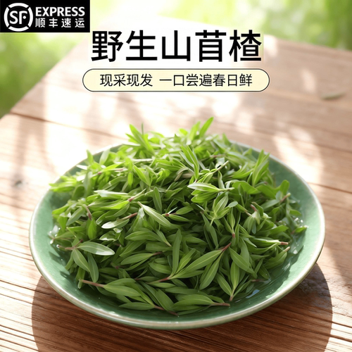 顺丰头茬新货现采山苜楂