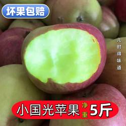 正宗国光苹果山东五莲老树纯绿色新鲜水果青酸甜脆苹果老品种5斤
