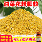 喂蜂蜂用花粉油菜杂花粉2025新养蜂天然蜂粮颗粒中蜂喂蜂蜜蜂饲料