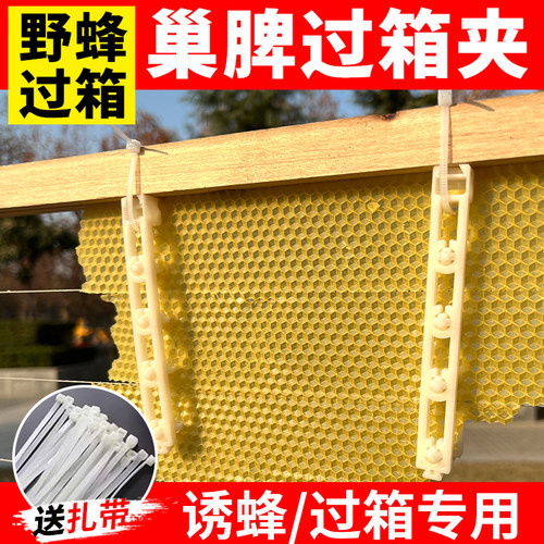 过箱专用巢脾夹顶格蜜蜂绑脾夹野蜂过箱土养圆桶夹诱蜂绑脾条固定