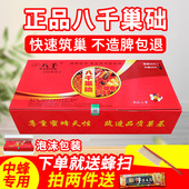 中蜂巢础八千正品 蜜蜂巢础片巢基蜂巢蜂蜡中峰深房巢皮养蜂工具