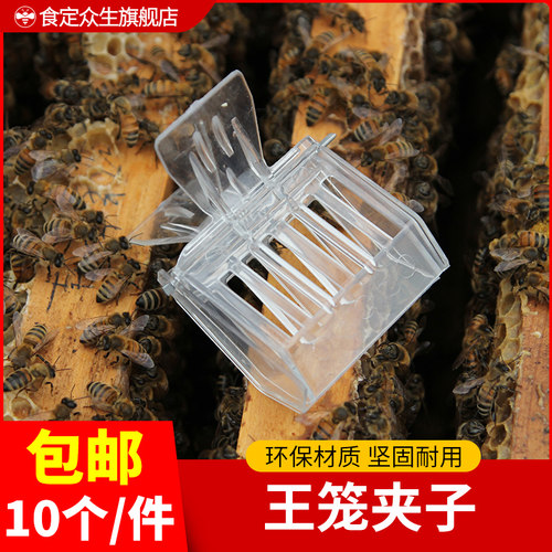 夹子王笼塑料书夹式王笼蜂王夹子塑料囚王笼抓王夹10个装包邮