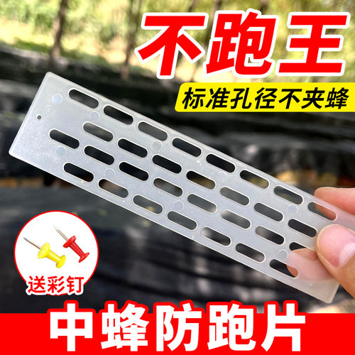 多功能养蜜蜂隔王片防跑片