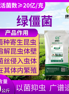 绿僵菌生物菌寄生侵染虫体红薯花生蛴螬臭虫金龟子地老虎蝼蛄