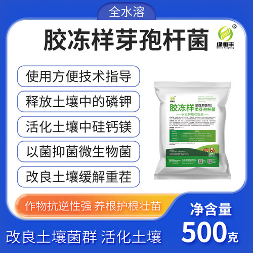 绿恒丰胶冻样芽孢杆菌解磷解钾菌