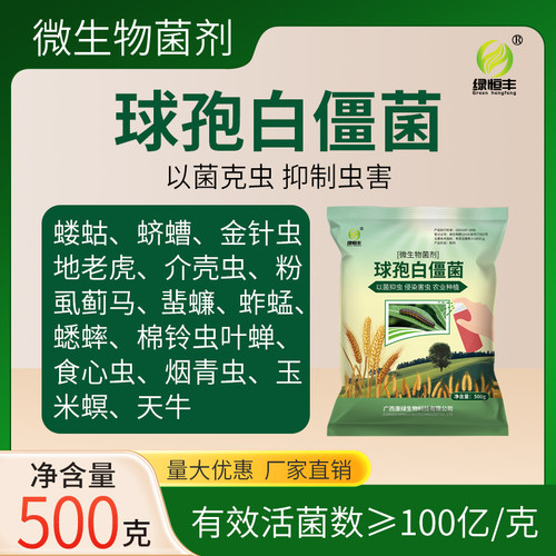 绿恒丰球孢白僵菌原粉100亿/g菜青虫天牛松毛虫蛴螬僵蚕微生物菌