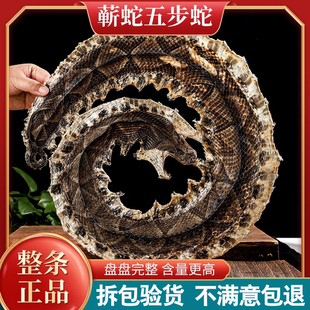 正品蕲蛇干中药材五步蛇干八步蛇蕲蛇粉五步蛇粉白花蛇乌梢蛇蝮蛇