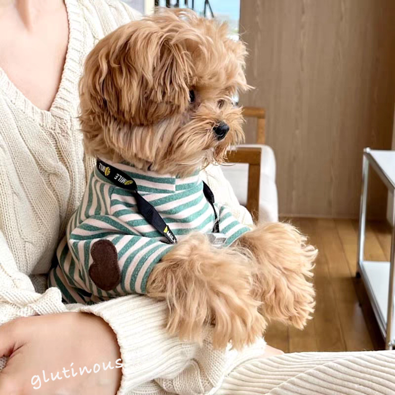 狗狗衣服春秋薄款韩系ins条纹背心简约宠物猫咪小型犬比熊约克夏