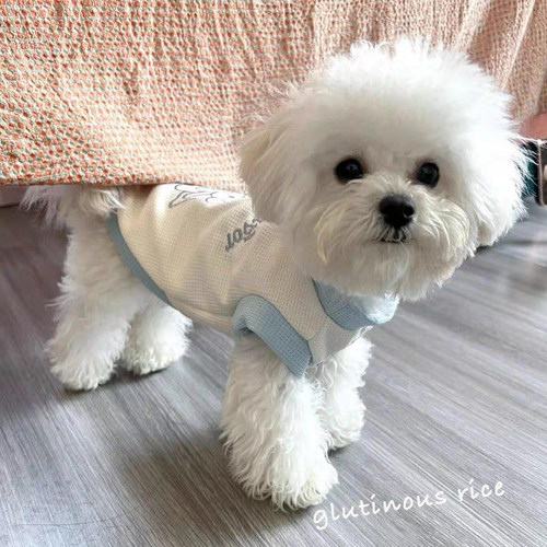 可爱宠物狗狗衣服撞色华夫格背心春夏新款马尔济斯比熊泰迪家居服