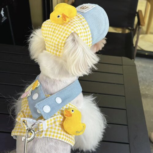 宠物狗狗夏季薄款衣服