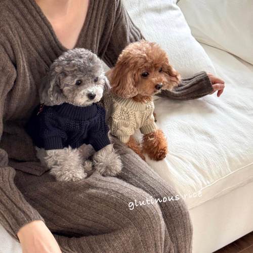 狗狗毛衣比熊泰迪博美小熊