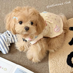 狗狗衣服夏季薄款背心可爱米黄小碎花裙宠物猫咪小型犬比熊泰迪
