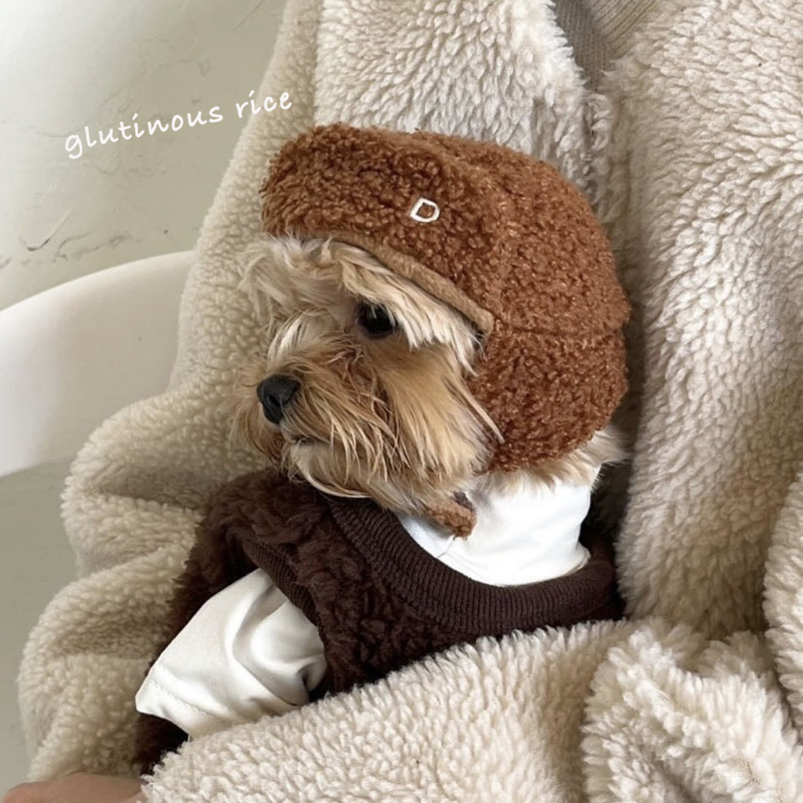 猫咪帽子宠物狗狗头套秋冬新款简约护耳帽毛绒保暖小型犬比熊头饰