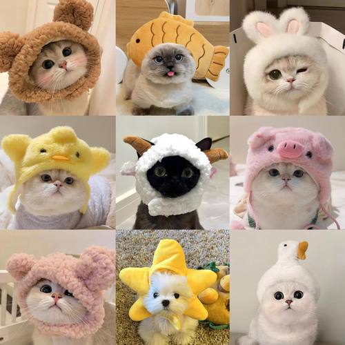 宠物帽子装饰网红头套毛绒变装小狗狗猫咪可爱拍照头饰搞怪比熊