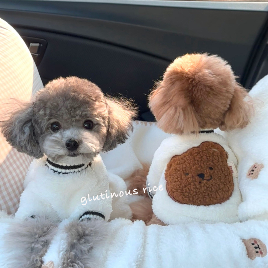 狗狗秋冬款小型犬宠物四脚衣