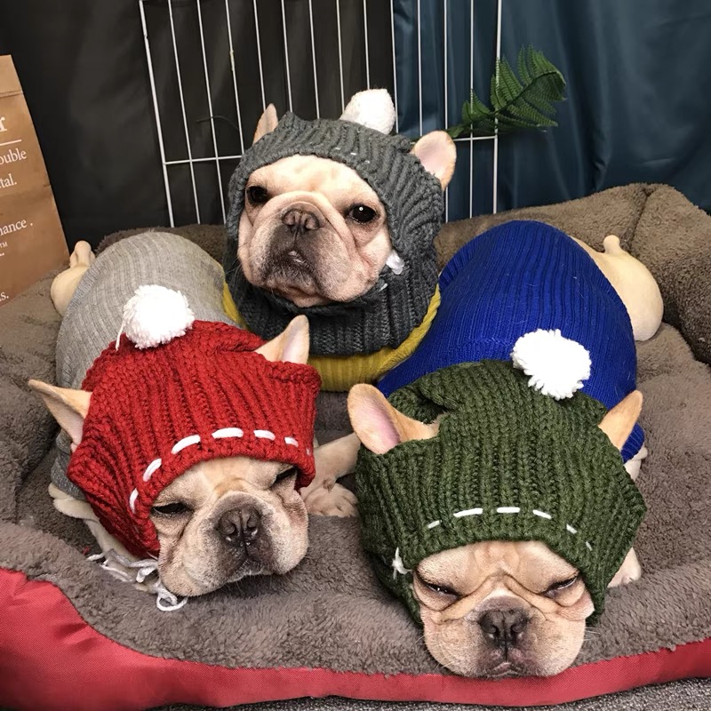 宠物中大型犬可爱保暖露耳毛线帽