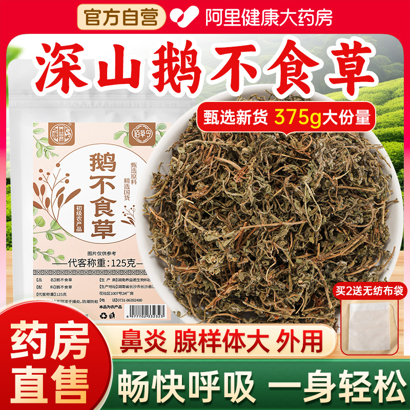 鹅不食草新鲜干货中草药材鹅不吃草粉搭苍耳子辛夷花石菖蒲鼻炎茶